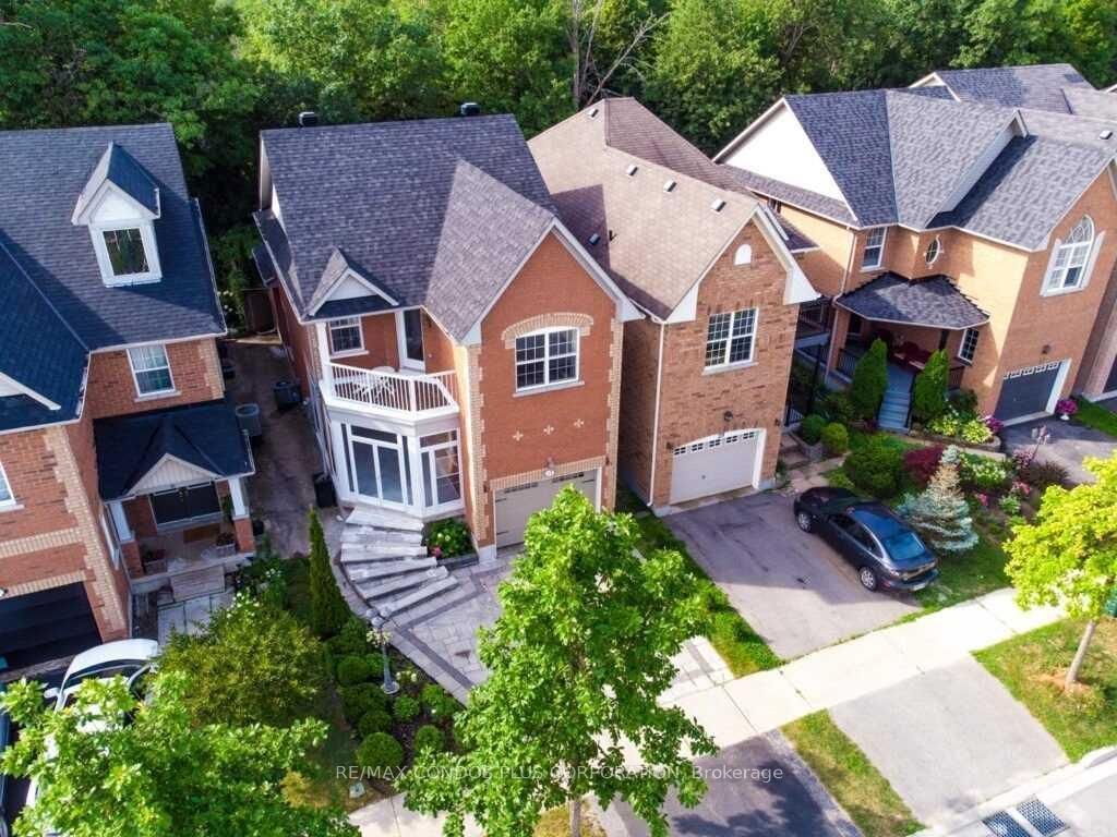 41 Maroon Drive, Richmond Hill 2